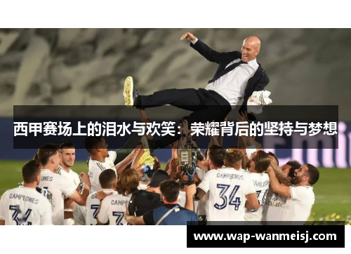西甲赛场上的泪水与欢笑：荣耀背后的坚持与梦想
