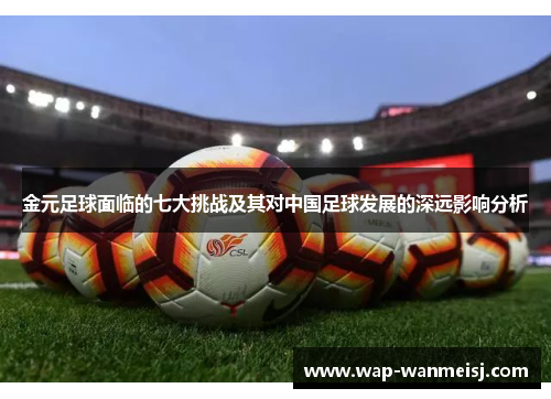 金元足球面临的七大挑战及其对中国足球发展的深远影响分析