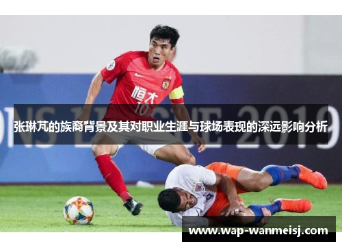 张琳芃的族裔背景及其对职业生涯与球场表现的深远影响分析